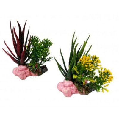 ΔΙΑΚΟΣΜΗΤΙΚΟ ΦΥΤΟ ΕΝΥΔΡΕΙΟΥ ΣΕ 2 ΧΡΩΜΑΤΑ 12.5Χ7.5CM